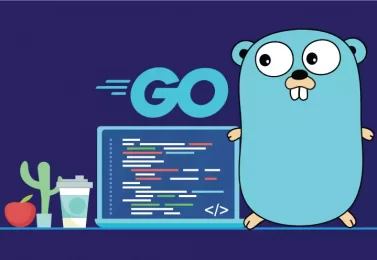 A vulnerability in the GO programming language